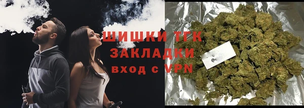 PSILOCYBIN Балахна