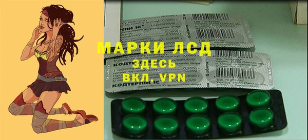 PSILOCYBIN Балахна
